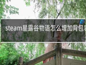 steam星露谷物语怎么增加背包容量