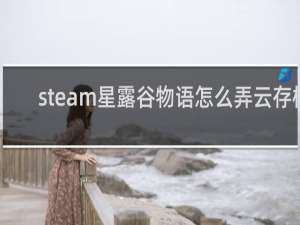 steam星露谷物语怎么弄云存档