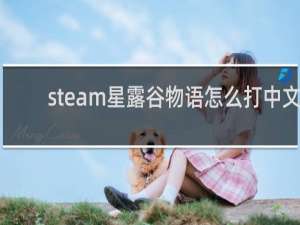 steam星露谷物语怎么打中文