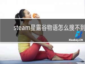 steam星露谷物语怎么搜不到