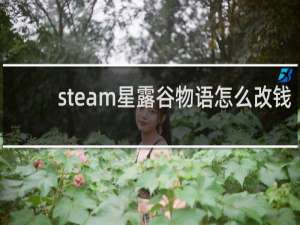 steam星露谷物语怎么改钱
