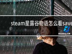 steam星露谷物语怎么看save
