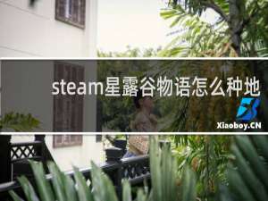 steam星露谷物语怎么种地