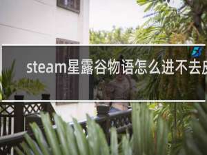 steam星露谷物语怎么进不去皮