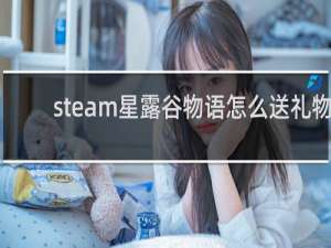 steam星露谷物语怎么送礼物