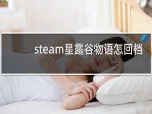 steam星露谷物语怎回档