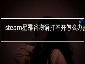 steam星露谷物语打不开怎么办步骤
