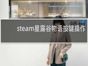 steam星露谷物语按键操作