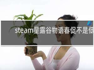 steam星露谷物语春促不是低