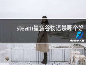 steam星露谷物语是哪个好