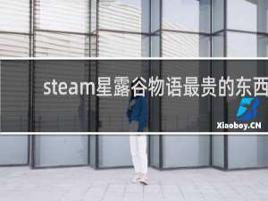 steam星露谷物语最贵的东西
