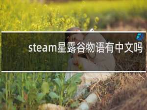 steam星露谷物语有中文吗