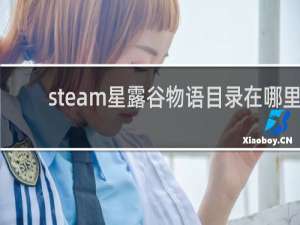 steam星露谷物语目录在哪里