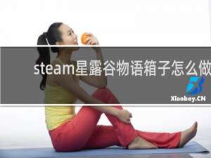steam星露谷物语箱子怎么做