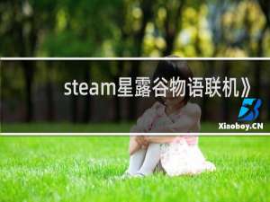 steam星露谷物语联机》