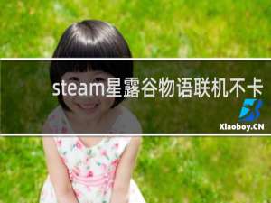 steam星露谷物语联机不卡