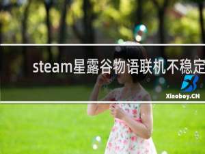 steam星露谷物语联机不稳定
