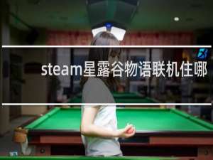 steam星露谷物语联机住哪