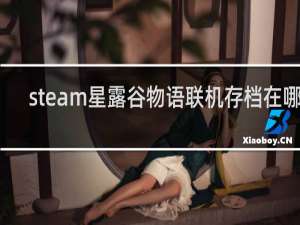 steam星露谷物语联机存档在哪里