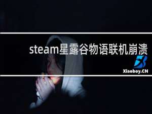 steam星露谷物语联机崩溃