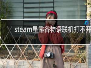 steam星露谷物语联机打不开