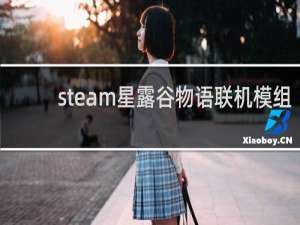 steam星露谷物语联机模组