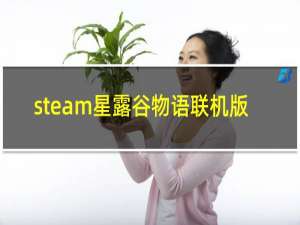steam星露谷物语联机版
