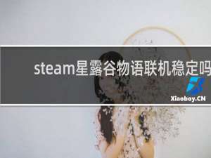 steam星露谷物语联机稳定吗