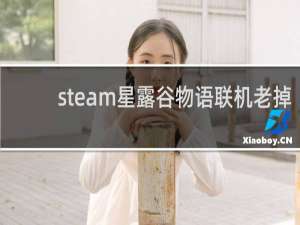 steam星露谷物语联机老掉