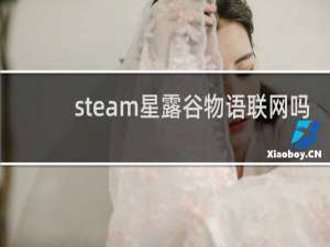 steam星露谷物语联网吗