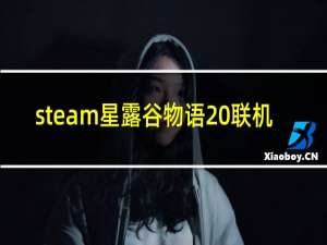 steam星露谷物语 联机