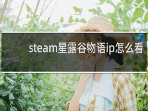 steam星露谷物语ip怎么看