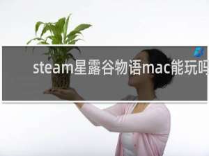steam星露谷物语mac能玩吗