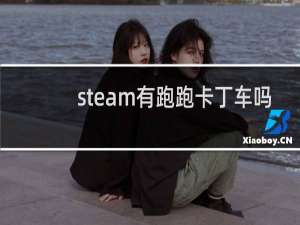 steam有跑跑卡丁车吗