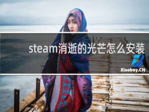 steam消逝的光芒怎么安装