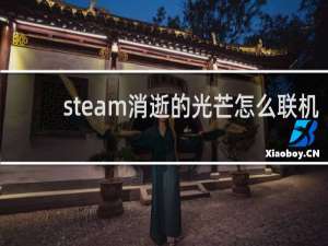 steam消逝的光芒怎么联机