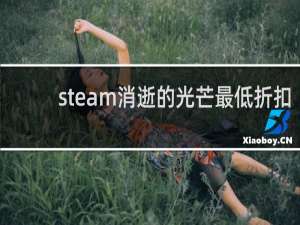 steam消逝的光芒最低折扣