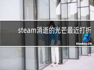 steam消逝的光芒最近打折