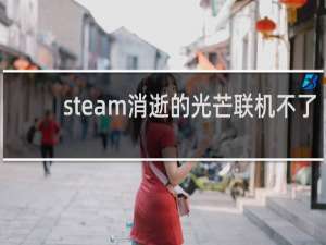 steam消逝的光芒联机不了