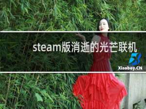 steam版消逝的光芒联机