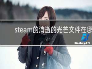 steam的消逝的光芒文件在哪