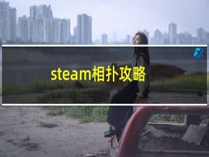 steam相扑攻略
