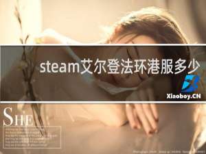 steam艾尔登法环港服多少