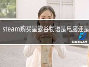 steam购买星露谷物语是电脑还是手机