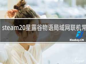 steam 星露谷物语局域网联机常掉线