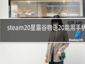 steam 星露谷物语 能用手柄吗
