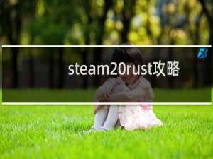 steam rust攻略