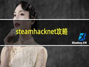 steamhacknet攻略