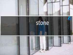 stone（island是什么牌子）
