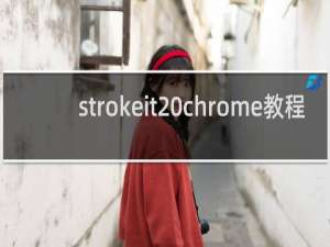 strokeit chrome教程